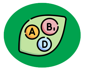 Vitaminas y Suplementos